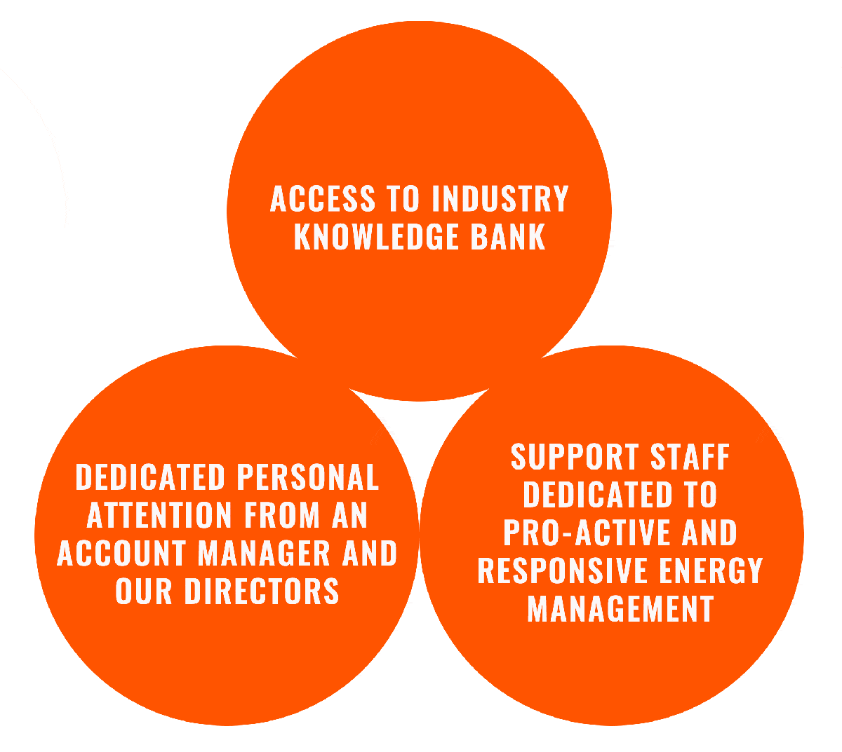 Benefits of working with Ignite Energy diagram